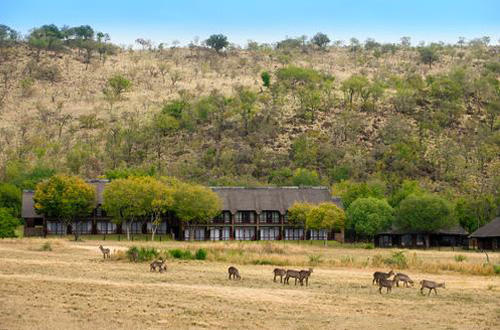 Pilanesberg National Park Pilanesberg Bakubung Bush Lodge