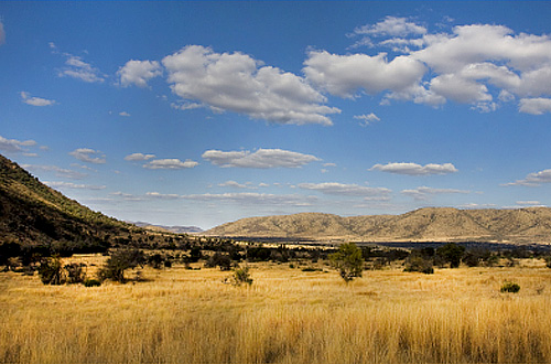 Game Drives Black Rhino Game Lodge Pilanesberg Game Park Black Rhino Private Game Reserve