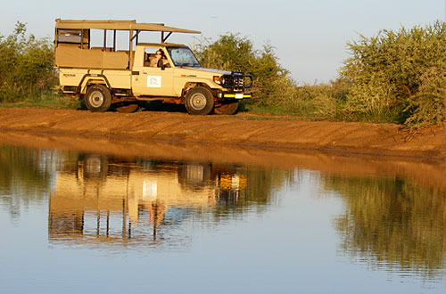 Game Drives Waterhole Black Rhino Game Lodge Pilanesberg Game Park Black Rhino Private Game Reserve