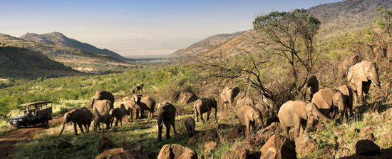 Kwa Maritane Bush Lodge Accommodation Bookings Big 5 Pilanesberg National Park South Africa