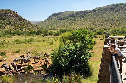 Kwa Maritane Bush Lodge Big 5 Pilanesberg National Park South Africa