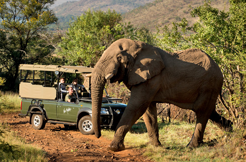 Kwa Maritane Bush Lodge Big 5 Pilanesberg National Park South Africa