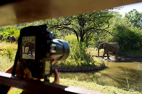 Kwa Maritane Bush Lodge Big 5 Pilanesberg National Park South Africa