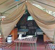 Safari Tents