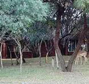 Grounds around Manyane Resort