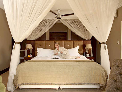 Pilanesberg Game Reserve Executive Suite Shepherd's Tree Game Lodge Accommodation